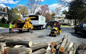 Best Tree Mulching  in Lynnwood Pricedale, PA