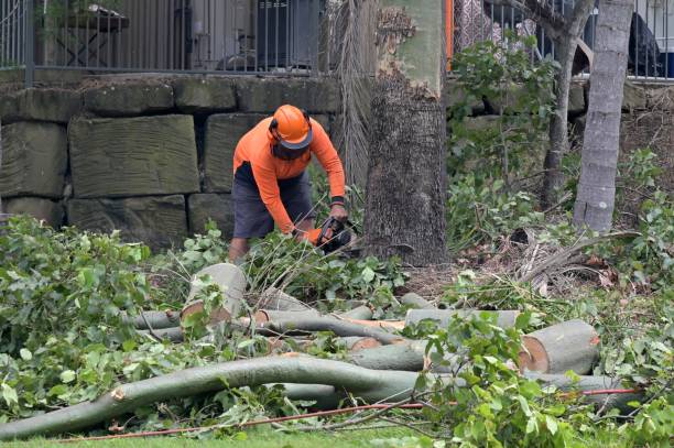 Best Hazardous Tree Removal  in Lynnwood Pricedale, PA